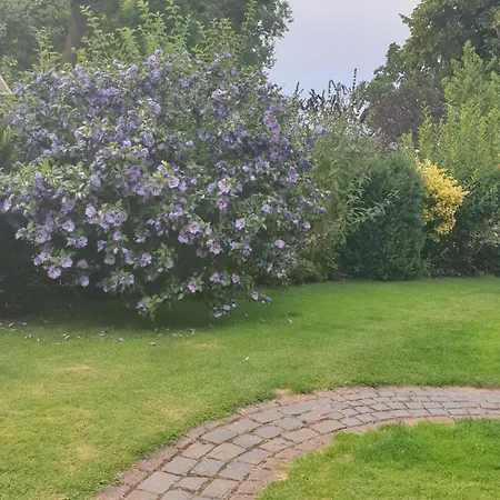 Modernes Mit Garten In * Kägsdorf