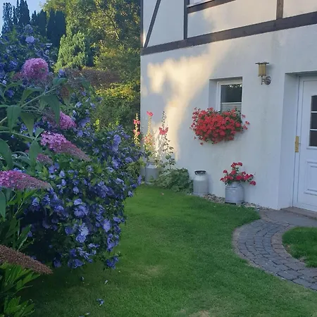 Modernes Mit Garten In