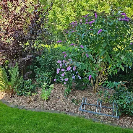 Modernes Mit Garten In Prázdninový dům Kägsdorf