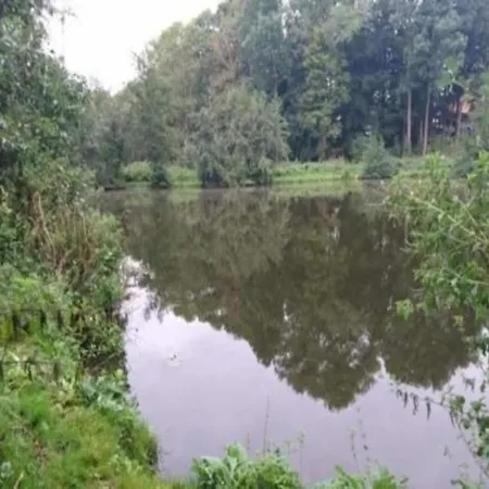 Modernes Mit Garten In *