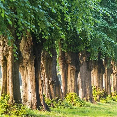 Modernes Mit Garten In Prázdninový dům *