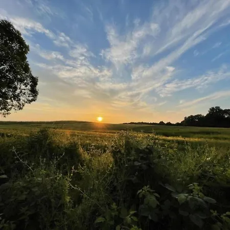 Countryside In Kingsdorf With Garden *