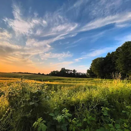 Modernes Mit Garten In *