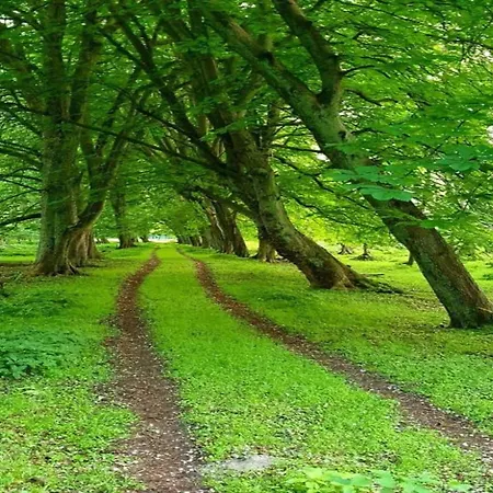 Prázdninový dům Modernes Mit Garten In