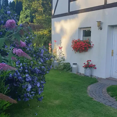 Modernes Mit Garten In Дом отдыха *